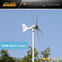 300W Mini Size Max Power Wind Power Electricity Generator